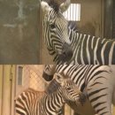 루카농장 이미지