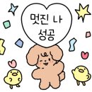돌핀커피오마카세