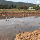 재미나 농장 이미지