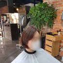 브라운디자인 이미지