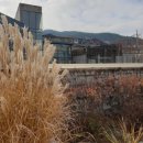 은성숲어린이집 이미지