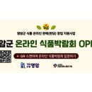 180035 Daum카페