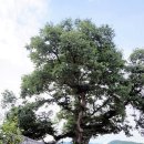 당산1리 이미지