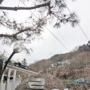 가평계곡펜션루안 이미지