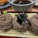 죽백6로 이미지