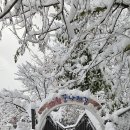 서울나래학교 이미지