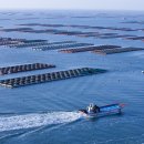 광교중앙로248번길 이미지