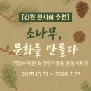 강원특별자치도산림박물관 | 🌲 [강원 전시회 추천] 국립수목원 &amp; 산림박물관 공동기획전 ‘소나무, 문화를 만들다’ (2025.10.31...