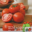 퇴촌약국 이미지