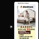 흙표흙침대청주점