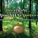 면역자연치유센터 이미지