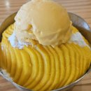 보홀 망고빙수 추천 카페 나무 후기(feat:이 맛에 동남아 여행 오는거 아님?!)