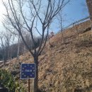 아이와 가볼만한 가평여행지 이탈리아마을 피노키오와 다빈치