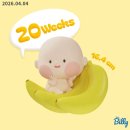 나임백화점 | 임신 중후기 | 임신기록·태교여행·입체초음파·배크기·임당검사·태동·임부복
