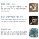 부들 | 인천 청라 꽃집 선물 꽃다발 구매 후기 : 부들