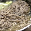 삼교리 동치미 막국수 이미지