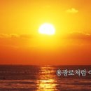 해운대에 올라 이미지