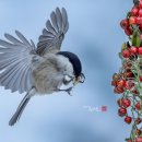 명암약수터 이미지