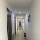 만리포킹(언덕) | 만리포 바다풍경이 한눈에_만리포호텔 후기