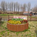 구리 토평 가족캠핑장 이미지