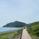 완도읍사무소 | [전라남도/완도] 다도해 해상국립공원사무소 탐방안내소 + 정도리 구계등 해변&amp;방풍숲 (feat. 완도 가볼...