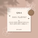 뮤즈폴댄스 이미지