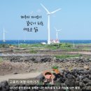 테마인제주 이미지