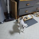 만복국수집명지 이미지
