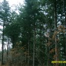 광덕3로2 이미지