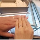 효성사 | 종로 효성주얼리시티 웨딩밴드 커플링 내돈내산 엘리시아 후기