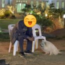 언덕위에 이쁜집 이미지