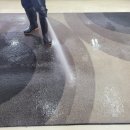 로디스타