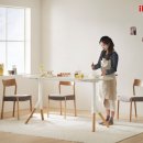 뿌리 철학A 이미지