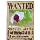 오늘;팔렛트 | 학교로 간 식물 친구들.. 관찰용 식물 4종 출동하다💗