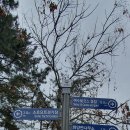 화양주유소 이미지