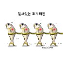 꿀꺽 Daum카페