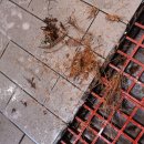 나은손세차 | 해운대 손세차 잘하는 곳 찾으시죠?!