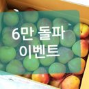 푸른초장농원