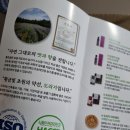 주식회사 황초원 이미지