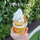 지온목장 | 일월수목원 카페 데이지콘 어니스트밀크 아이스크림 후기