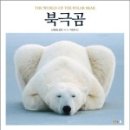 긴 여정-북극곰 네이버블로그