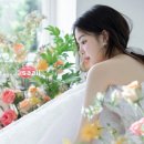 푸릇푸릇스튜디오