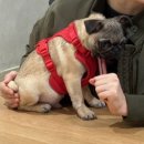 은수MALL 네이버블로그