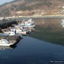 사철나무집민박