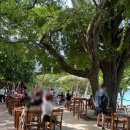 마르가요가원 | 푸켓 섬투어 라차섬 추천 : 한인업체 고다이브 스노클링 &amp; 체험다이빙 후기 (컵라면, 짐 보관 가능)