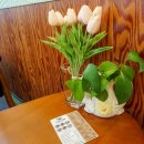 드림즈마을 협동조합 이미지