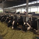 행복목장 이미지