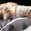 묵자 먹어봐 이미지