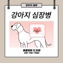 동물병원 더 하임 이미지