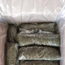 이조농장 Daum카페